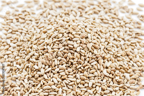 Close Up of a Pile of Dried Seeds