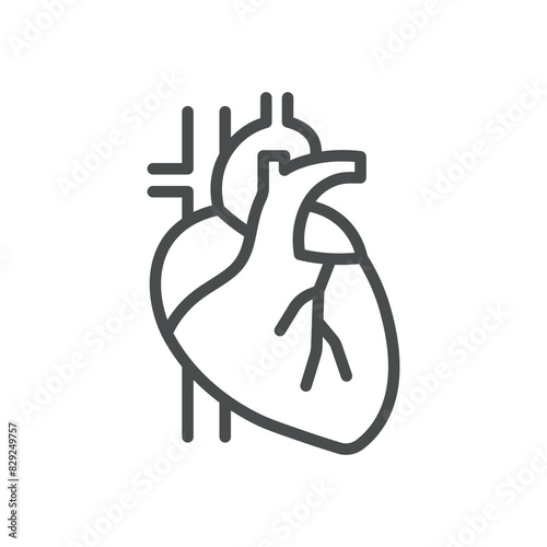Heart Icon. Isolated Line Illustration of Human Heart Organ, Representing Cardiovascular Health, Cardiology, and Circulatory System. Perfect for Medical and Healthcare Applications.