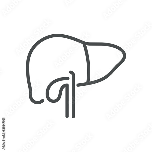 Liver and Gallbladder Icon. Isolated Line Illustration of Human Liver and Gallbladder, Representing Hepatology, Digestive Health, and Biliary System. Perfect for Medical and Healthcare Applications.