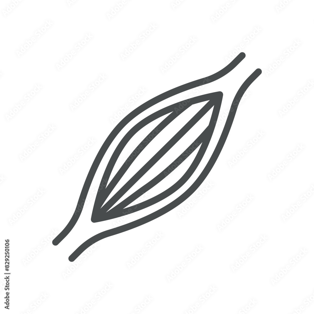 Muscle Icon. Isolated Line Illustration of Human Muscle, Representing Musculoskeletal System, Fitness, and Anatomy. Perfect for Medical, Healthcare, and Educational Applications. Muscle Icon. Isolated Line Illustration of Human Muscle, Representing Musculoskeletal System, Fitness, and Anatomy. Perfect for Medical, Healthcare, and Educational Applications.