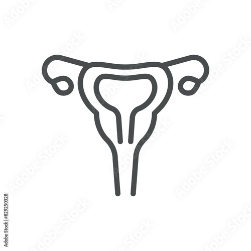 Female Reproductive System Icon. Simple Line Illustration of Human Female Reproductive System, Representing Gynecology, Reproductive Health, and Anatomy. Perfect for Medical and Healthcare Application