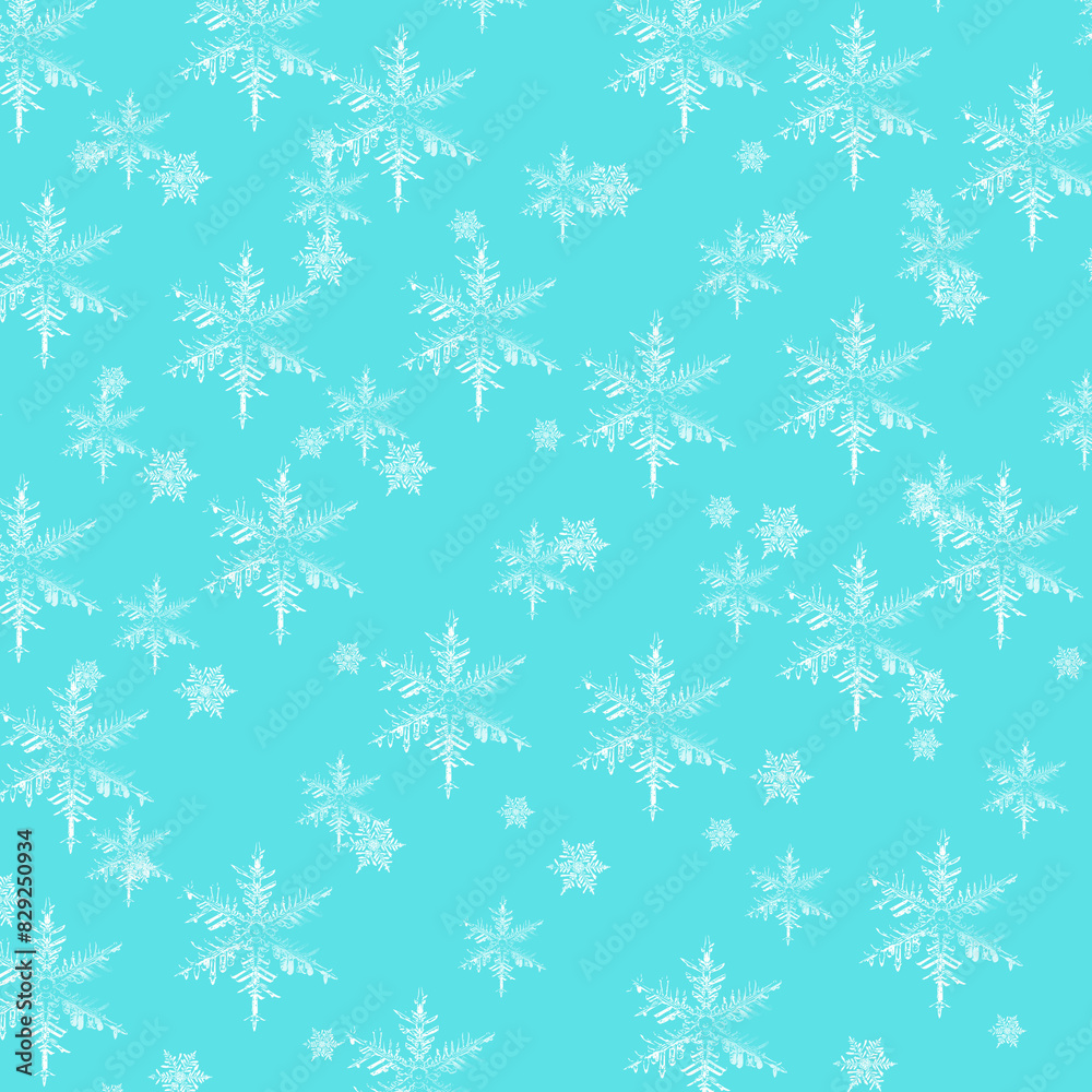 SNOW SNOW