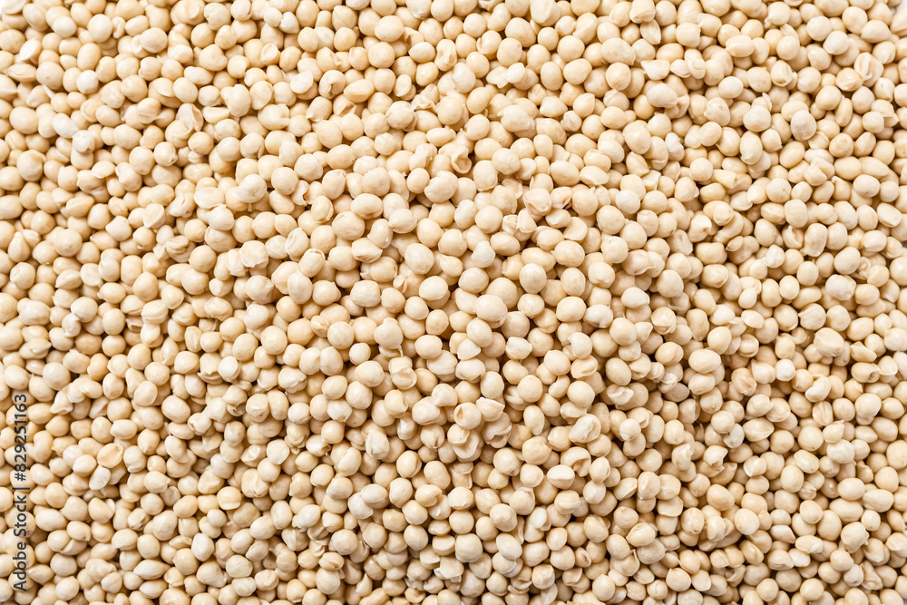 Close-up of Creamy White Quinoa Seeds Close-up of Creamy White Quinoa Seeds