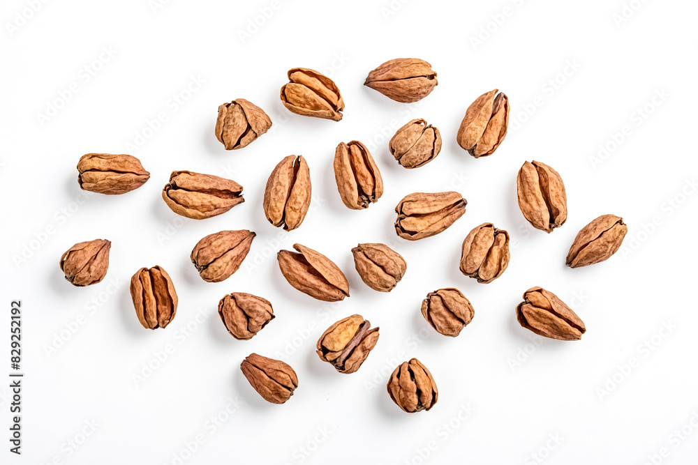 Dried Pecan Shells Isolated on White Background Dried Pecan Shells Isolated on White Background