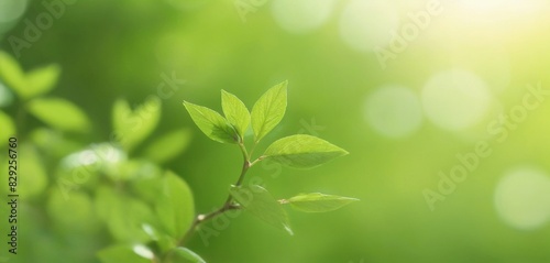 wellness posters with a leaf bokeh background  creating a calming and nature-inspired visual that soothes and attracts.