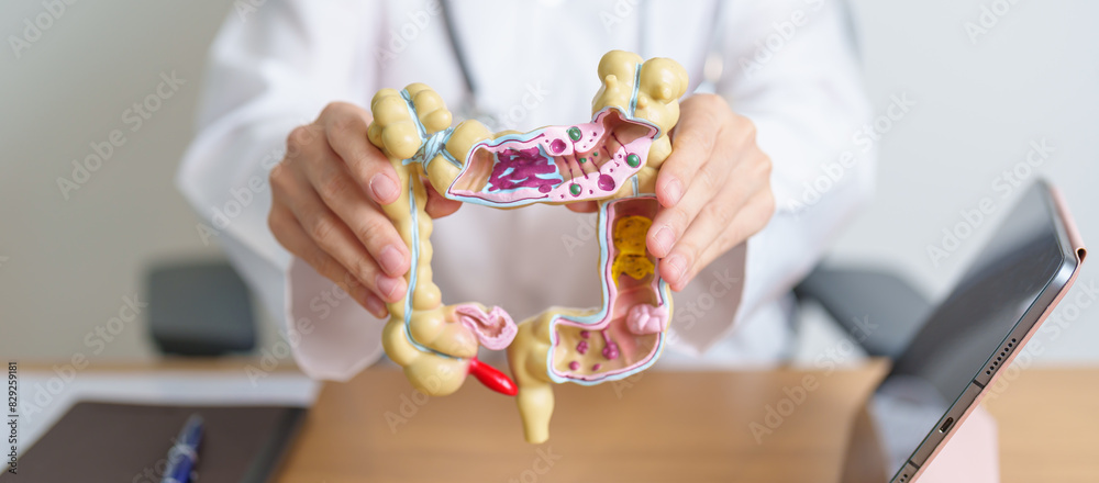 Doctor with human Colon anatomy model and tablet. Colonic disease, Large Intestine, Colorectal cancer, Ulcerative colitis, Diverticulitis, Irritable bowel syndrome and Digestive system Doctor with human Colon anatomy model and tablet. Colonic disease, Large Intestine, Colorectal cancer, Ulcerative colitis, Diverticulitis, Irritable bowel syndrome and Digestive system