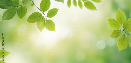 Highlight the lively hue of green with a leaf bokeh background, offering a dynamic and energetic visual appeal for any project.