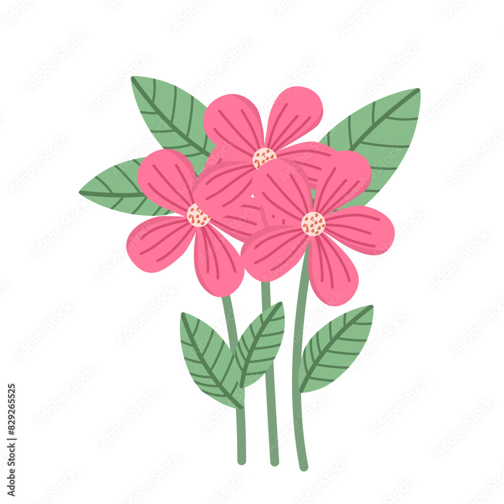 Spring flower illustration Spring flower illustration