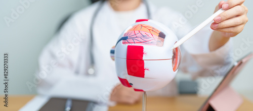 Konstfotografi Doctor with human Eye anatomy model with magnifying glass
