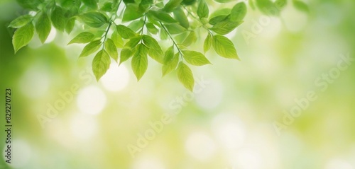 natural glow of green leaves with a bokeh background, perfect for adding a touch of brightness and vitality to any design. © Listiana