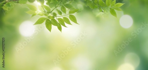 Capture the vividness of lush greenery with a bright green leaf bokeh background  ideal for creating a lively and dynamic visual appeal.
