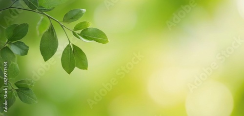 lively green glow to your visuals with a bright green leaf bokeh background, perfect for creating a cheerful and dynamic look.