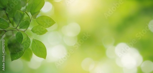 vibrancy of a green leaf bokeh background  perfect for adding a lively and natural touch to your designs.