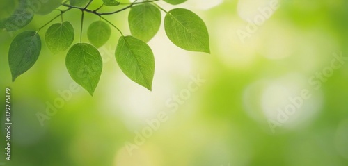 Highlight the beauty of nature in your volunteer event posters with a leaf bokeh background  creating a warm and inviting atmosphere for your cause.