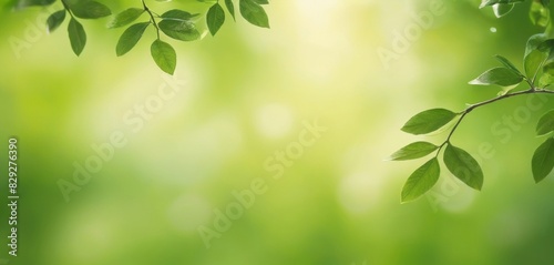 calming leaf bokeh background wallpaper, offering a serene and refreshing visual that enhances patient