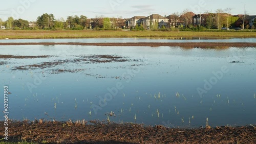Peaceful pond at Garden City Park reflecting the blue sky and surrounding houses