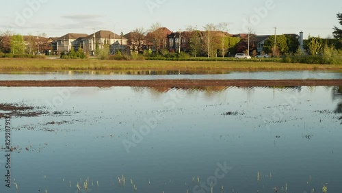 Suburban houses reflected in a calm water surface in a residential area