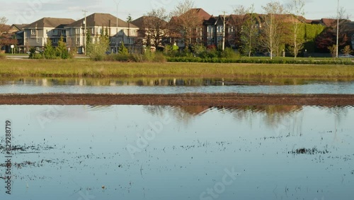 Scenic park wetlands with reflections of suburban houses on a clear day