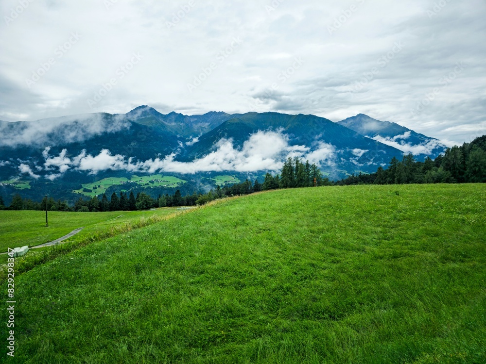 Obraz premium Alpine meadow in the mountains