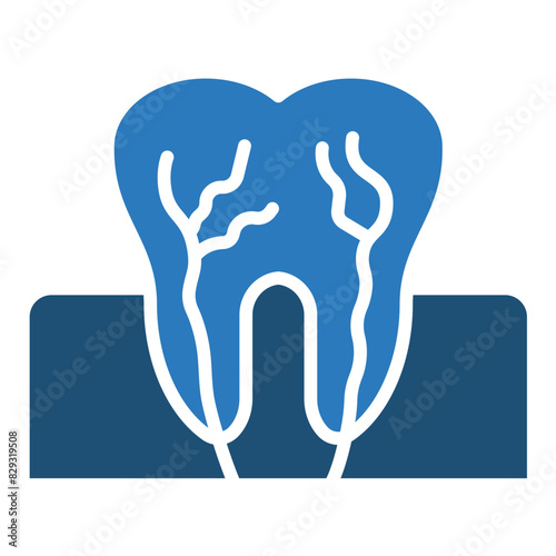 Dental Anatomy icon photo