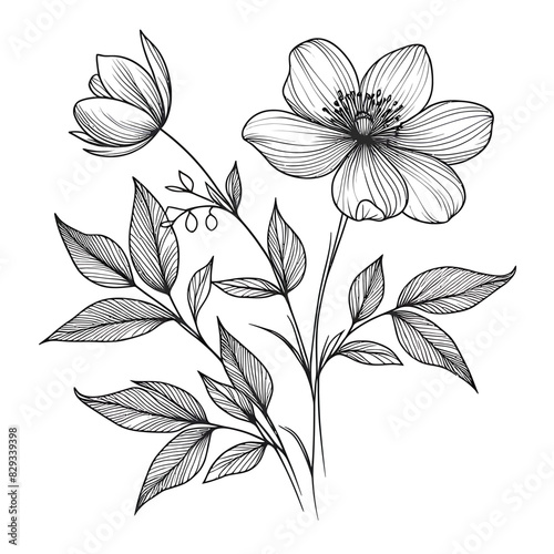 Adobe Illustrator ArLine Art Drawing   vector illustration designtwork photo