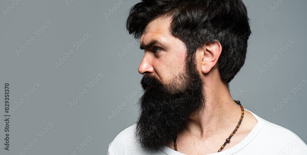 Half-turned side profile portrait of serious bearded man. Beard and mustache. Bearded man hipster in barber shop. Long beard. Beard style hair stylist. Male face profile with beard and mustache. Half-turned side profile portrait of serious bearded man. Beard and mustache. Bearded man hipster in barber shop. Long beard. Beard style hair stylist. Male face profile with beard and mustache.