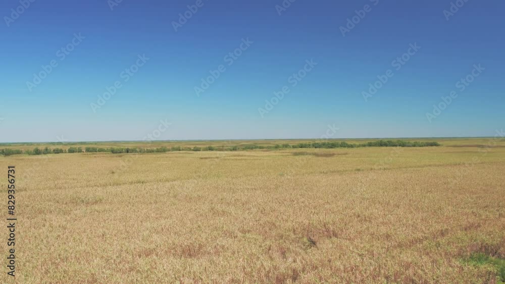 Aerial Beautiful Shot Of River Stream In Dry Field Against Clear Sky, Drone Flying Forward On Sunny Day - Bayou Vista, Texas Aerial Beautiful Shot Of River Stream In Dry Field Against Clear Sky, Drone Flying Forward On Sunny Day - Bayou Vista, Texas
