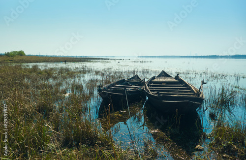Pair of traditional wooden made fishing boats lying idly on grassland, submerged in shallow water of Damodar river embankment. Photo taken near Panchet Dam, in Purulia. photo