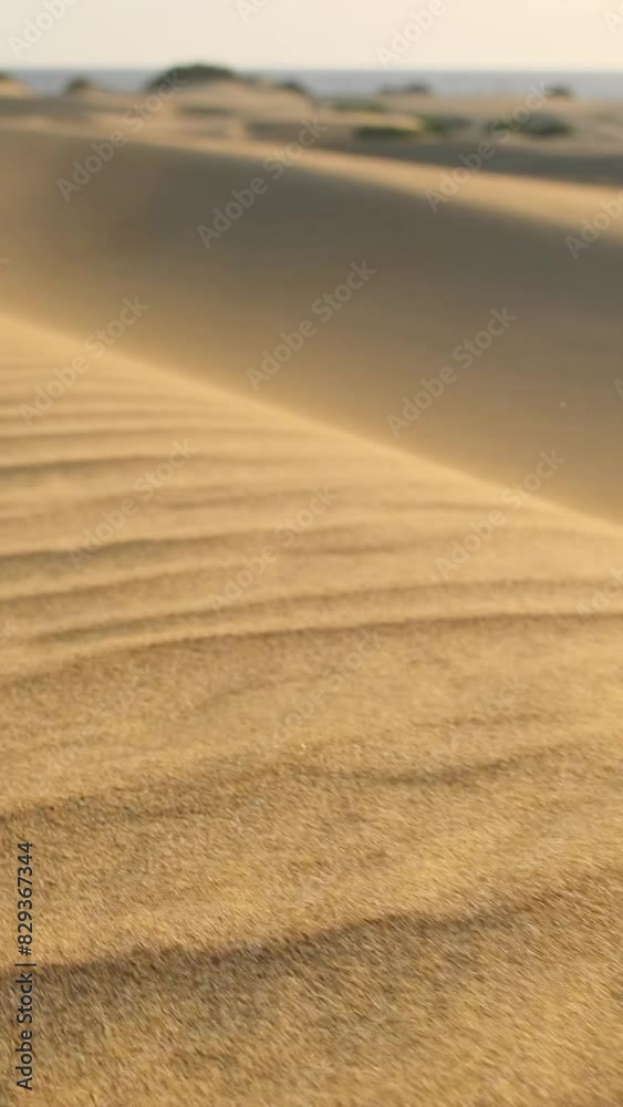 Close-up view of sand dunes in a desert, with intricate patterns carved into the sand by the wind. Raw and natural beauty of the desert landscape. Steadicam footage slow motion Close-up view of sand dunes in a desert, with intricate patterns carved into the sand by the wind. Raw and natural beauty of the desert landscape. Steadicam footage slow motion
