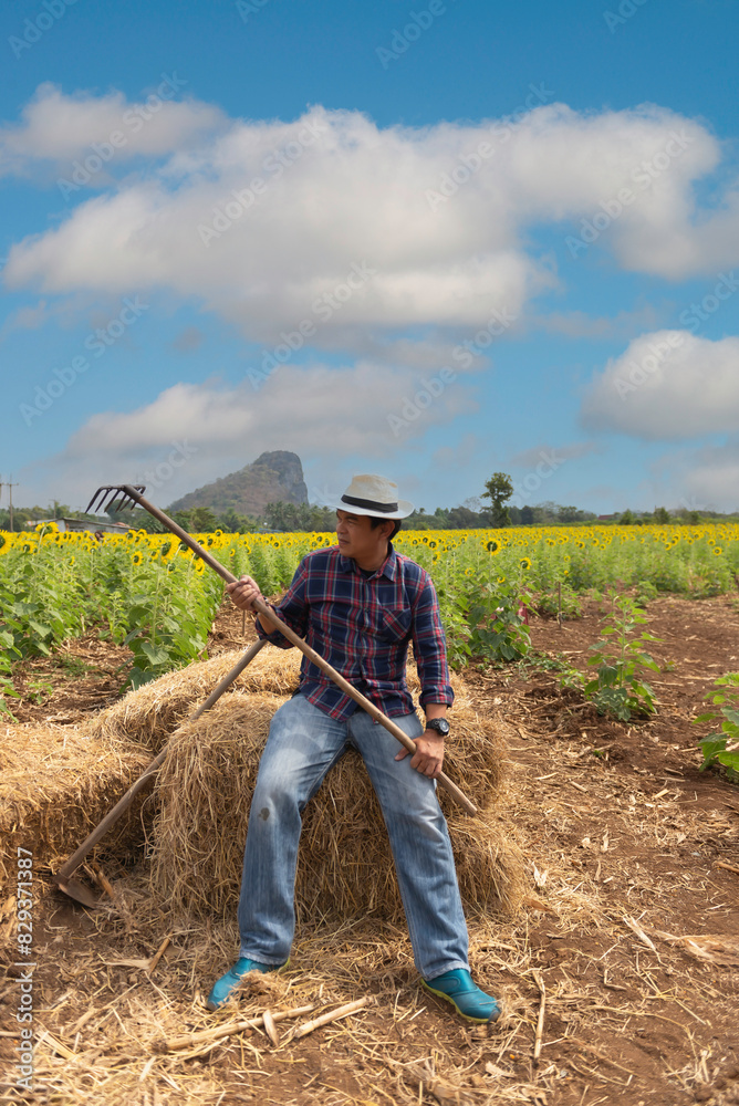 Happy Gardener at the sunflower field Happy Gardener at the sunflower field