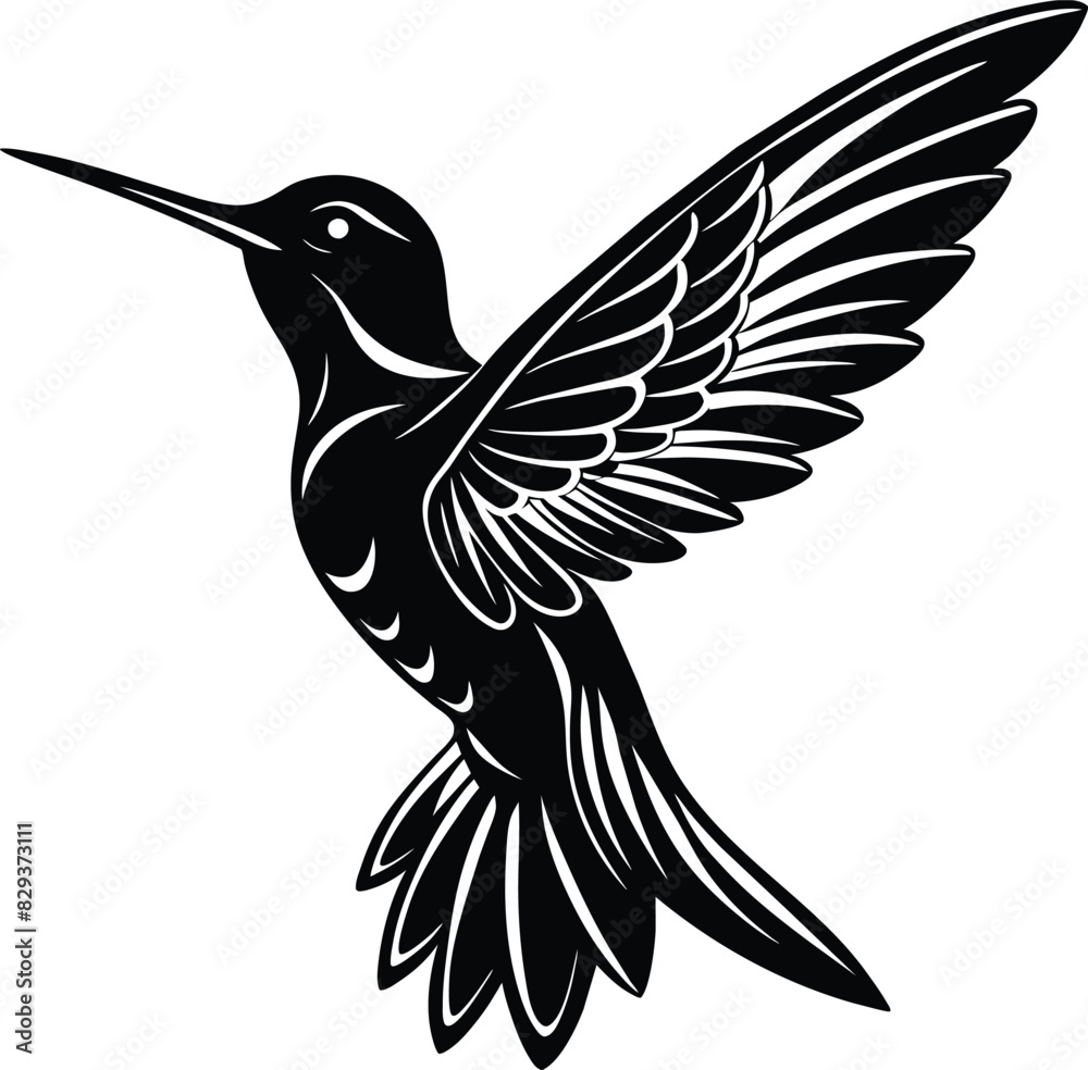Obraz premium black and white hummingbird