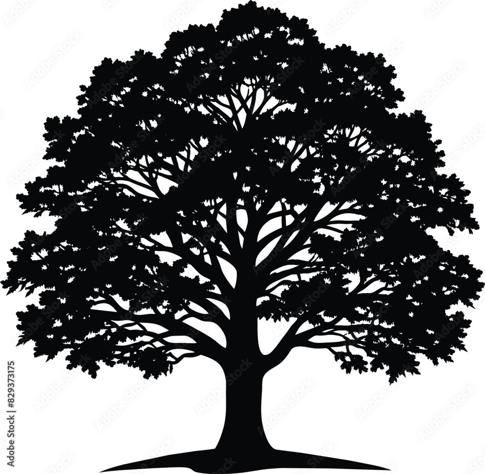 Fototapeta premium silhouette of a tree