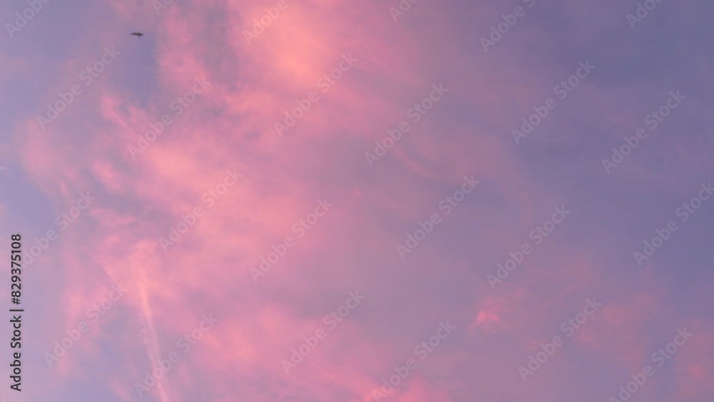 A pink sky with a bird flying in it