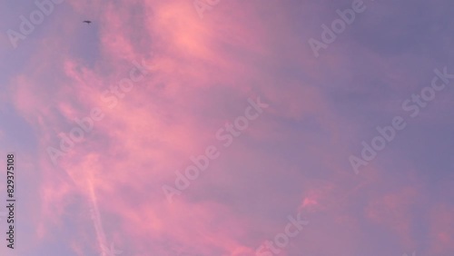 A pink sky with a bird flying in it