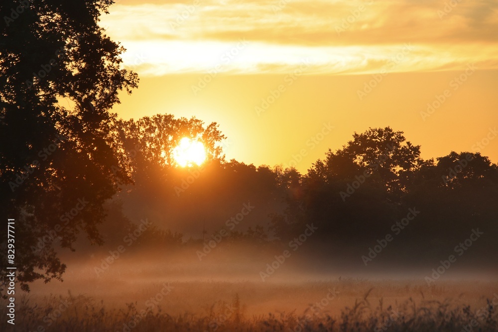 Naklejka premium sunrise in the fields