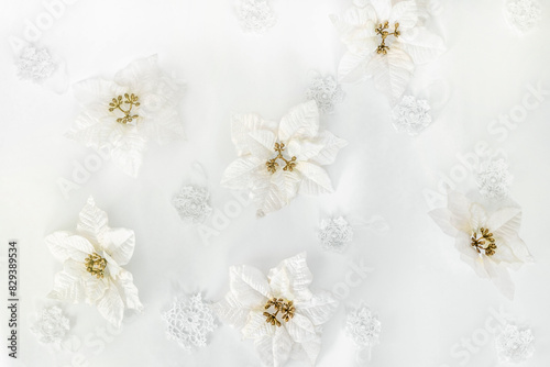 Poinsettia flowers on a white background with copy space. The atmosphere of Christmas and New Year. Christmas banner, mock-up