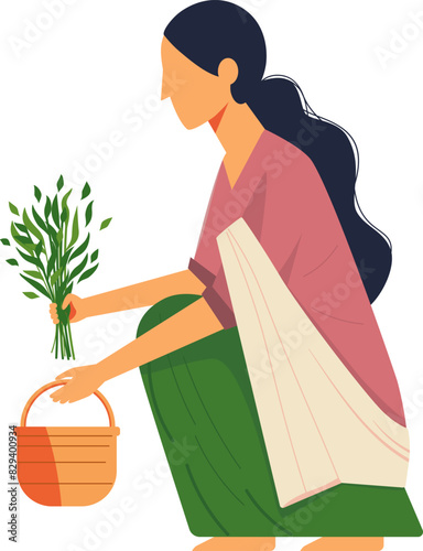 Village indian woman hold basket and picking plants. Ecological and growing plants concept. Flat style in vector illustration.