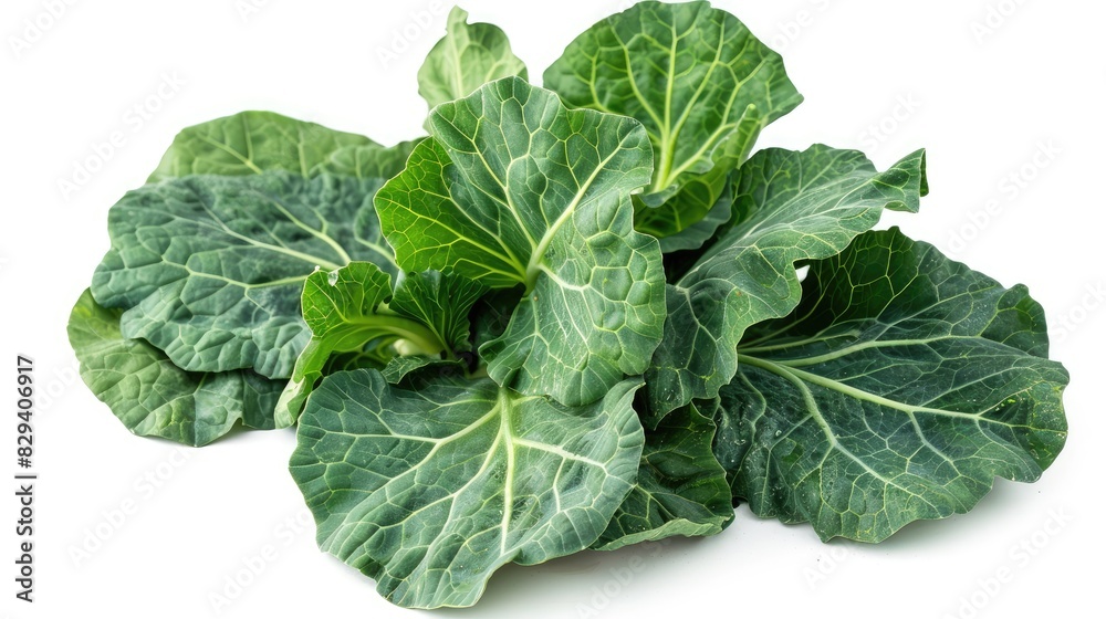 Collard Greens Leaves Freshness Displayed Against White Background Collard Greens Leaves Freshness Displayed Against White Background