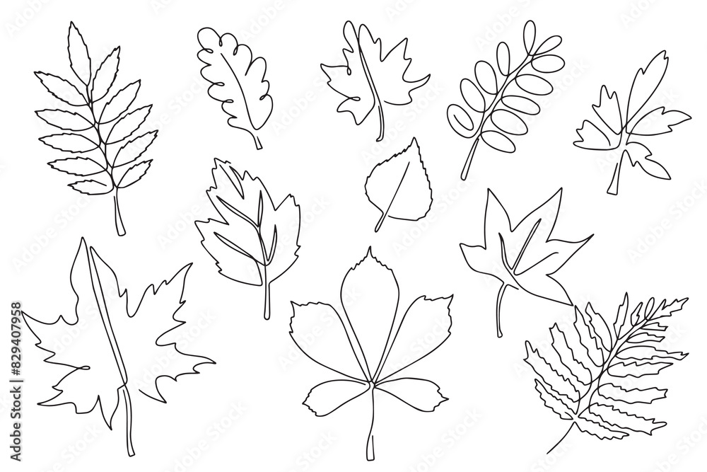 Set of autumn leaves, hand drawn, doodle style. Autumn leaves in line art style. Design for stickers, logo, website and mobile app. Set of autumn leaves, hand drawn, doodle style. Autumn leaves in line art style. Design for stickers, logo, website and mobile app.
