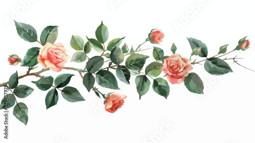 Watercolor branch with green leaves and flowers roses
