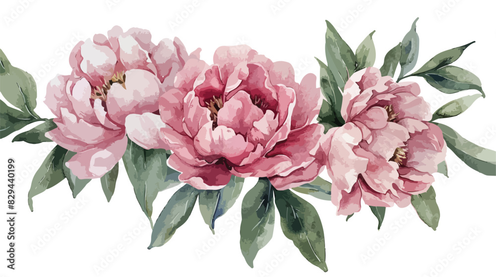Watercolor flowers peonies. Isolated on white background
