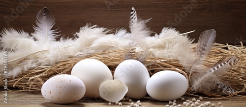 On a wooden table amidst white feathers there are natural eggs Copy space image