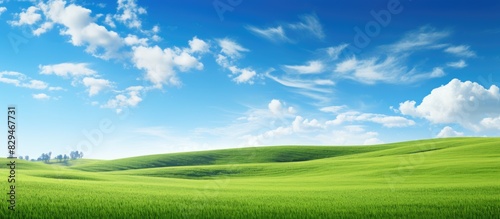 A picturesque landscape with a verdant field stretching out beneath a clear blue sky. Copyspace image