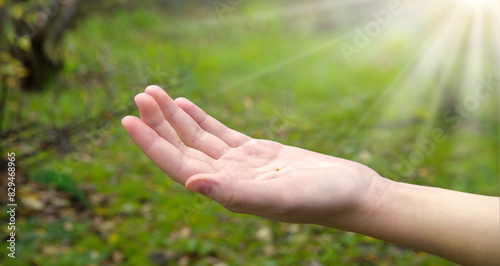 Hand holding small mustard seed © Marina