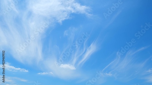 A clear blue sky adorned with ethereal  wispy clouds. The clouds have a feather-like appearance  adding a sense of movement and lightness to the sky  creating a tranquil and uplifting scene. 