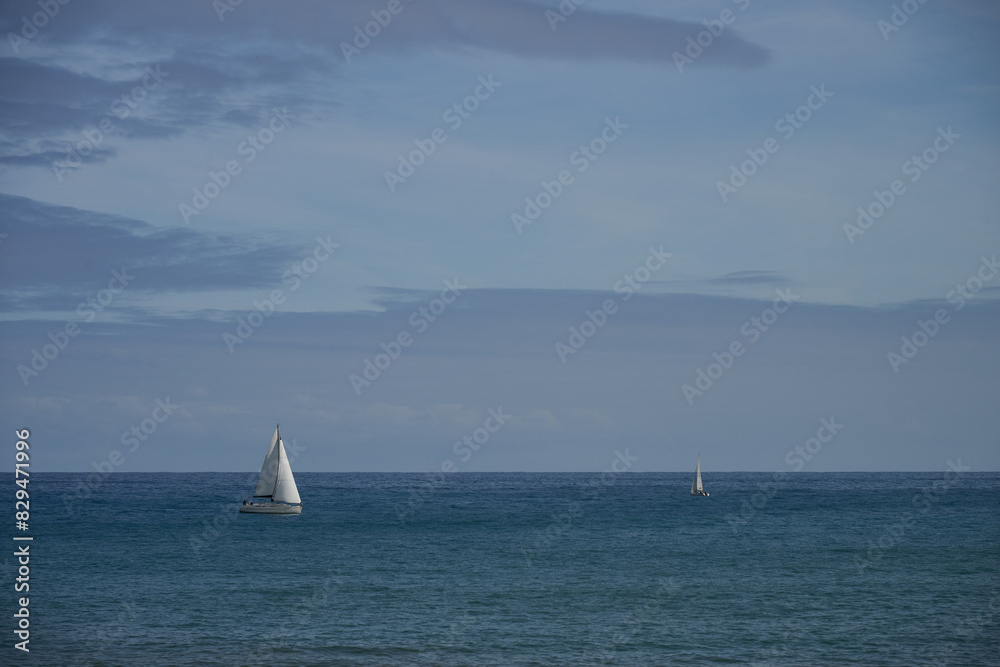 Fototapeta premium Sailboats sailing in a calm sea with sails blowing in the wind