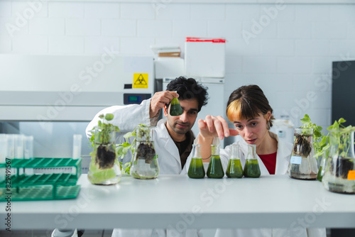Scientists analyzing samples of spirulina algae in flask at laboratory photo