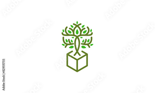 tree leaf box cube logo vector icon illustration
