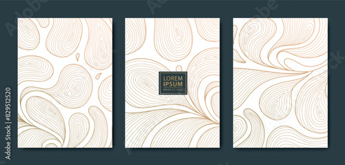 Vector set of floral gold background patterns, art deco leaves line invitations. Elegant frames, luxury plant textures.