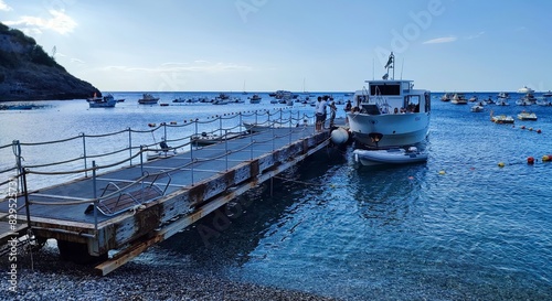 Obraz na płótnie Marina del Cantone - Barca in attesa per l'imbarco dei turisti w salonie
